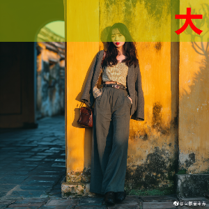 快猫物联网技术